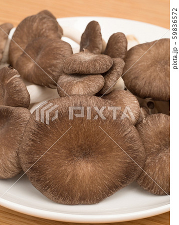 ヒラタケ ヒラタケ 59836572