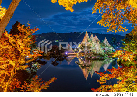 兼六園 雪吊り ライトアップ 秋 【石川県】 兼六園 雪吊り ライトアップ 秋 【石川県】 59837441