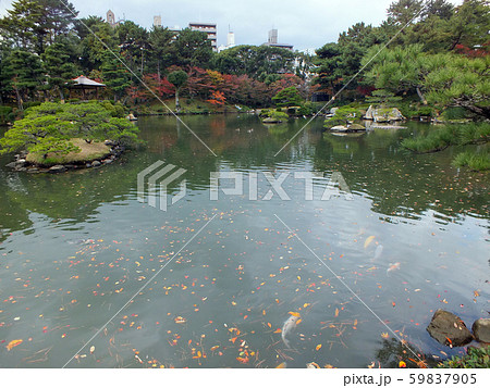 広島・縮景園　跨虹橋 59837905