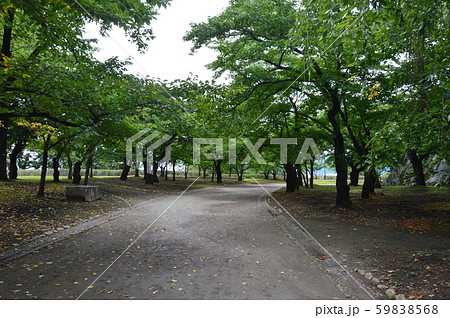 盛岡城の散策路(盛岡城跡公園(岩手公園)/岩手県盛岡市内丸1-37) 盛岡城の散策路(盛岡城跡公園(岩手公園)/岩手県盛岡市内丸1-37) 59838568