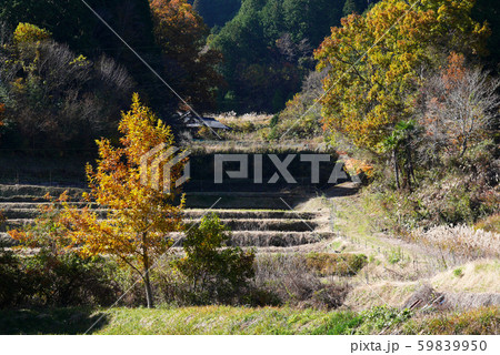 世界遺産　紀伊山地の里山風景 59839950
