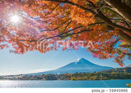 富士山と紅葉 富士山と紅葉 59840966
