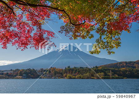 富士山と紅葉 富士山と紅葉 59840967