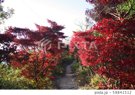 兵庫県赤穂市の雄鷹台山の紅葉 59841512