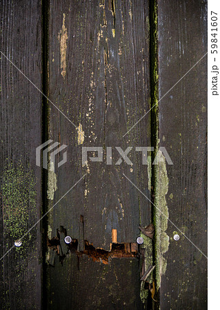 Cracked weathered wooden planks with moss. Wood texture surface Cracked weathered wooden planks with moss. Wood texture surface 59841607