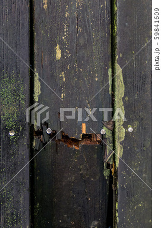 Cracked weathered wooden planks with moss. Wood texture surface Cracked weathered wooden planks with moss. Wood texture surface 59841609