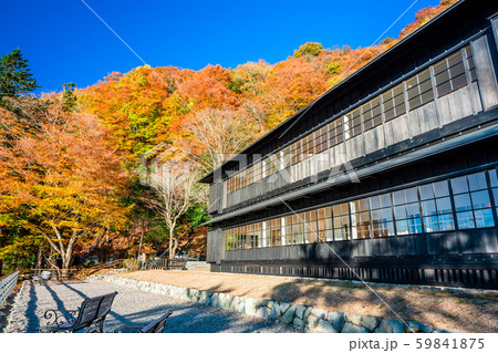 栃木　日光　英国大使館別荘記念公園の紅葉 59841875