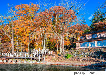 栃木　日光　イタリア大使館別荘記念公園の紅葉 59841896