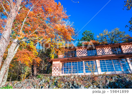 栃木　日光　イタリア大使館別荘記念公園の紅葉 59841899