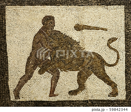 hercules fighting with a lion hercules fighting with a lion 59842344