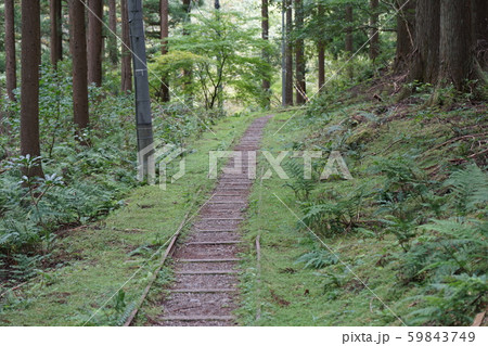 直線の線路と緑 直線の線路と緑 59843749