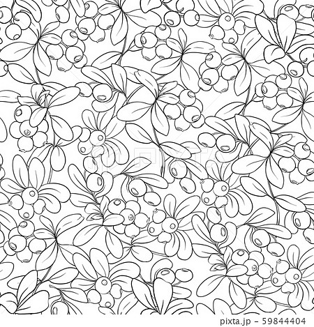 Cranberry. Seamless pattern 59844404
