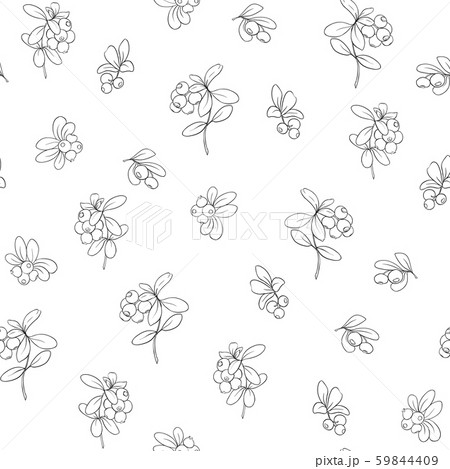 Cranberry. Seamless pattern Cranberry. Seamless pattern 59844409