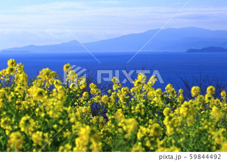 春の訪れ 59844492