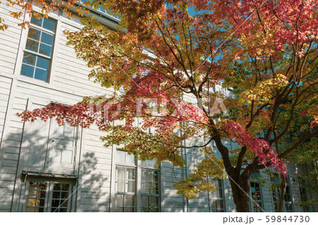 旧松本高等学校校舎（あがたの森文化会館）：秋　　　松本市県 59844730