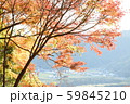 紅葉 59845210