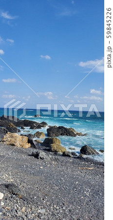 海 海 59845226
