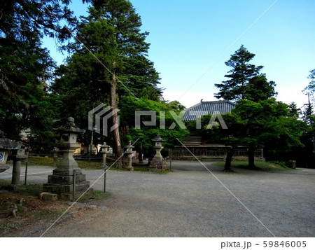 奈良・東大寺・静かな法華堂（三月堂）付近の境内の眺め（１） 59846005