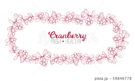 Cranberry. Element for design.  59846778