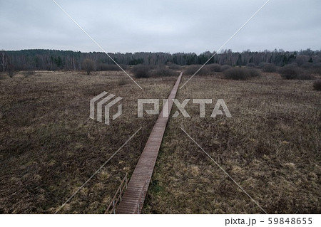 Panoramic view of autumn field with withered grass with wooden path 59848655