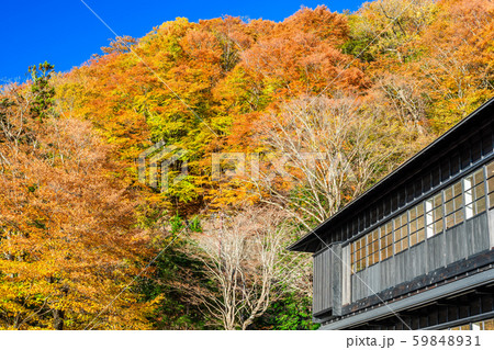 栃木　日光　英国大使館別荘記念公園の紅葉 59848931