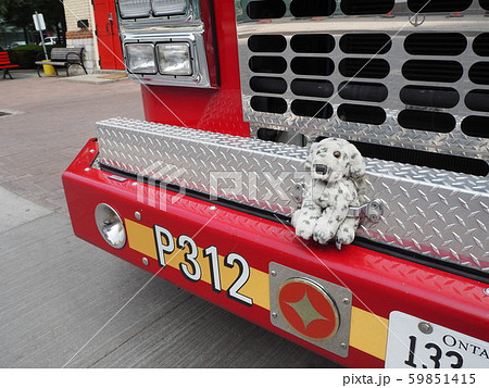 犬のぬいぐるみとトロントの消防車 犬のぬいぐるみとトロントの消防車 59851415