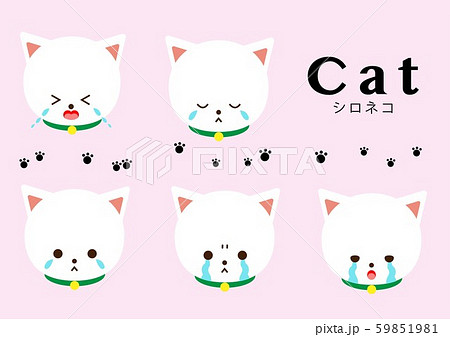 シロネコ　ナミダセット 59851981