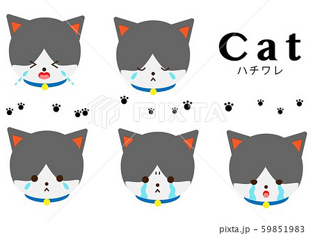 ハチワレ　ナミダセット 59851983