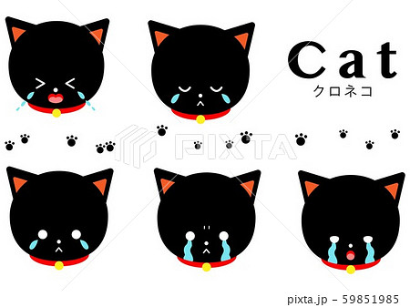 クロネコ ナミダセットのイラスト素材