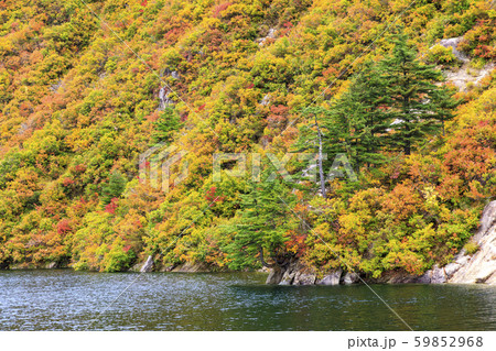 奥只見湖　銀山平コース　秋 59852968