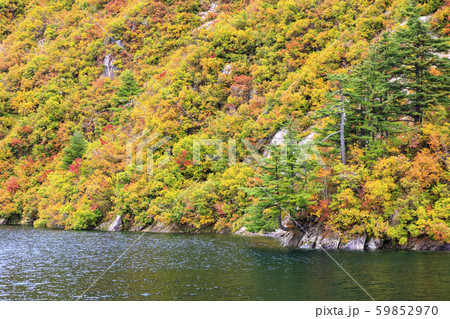 奥只見湖　銀山平コース　秋 59852970