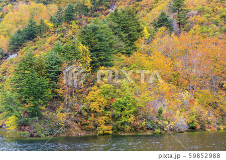 奥只見湖　銀山平コース　秋 59852988