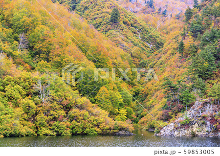 奥只見湖　銀山平コース　秋 59853005