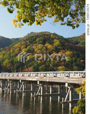 嵐山の紅葉と渡月橋 嵐山の紅葉と渡月橋 59853074