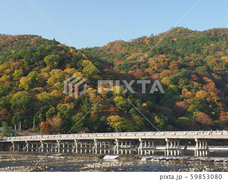 嵐山の紅葉と渡月橋 嵐山の紅葉と渡月橋 59853080