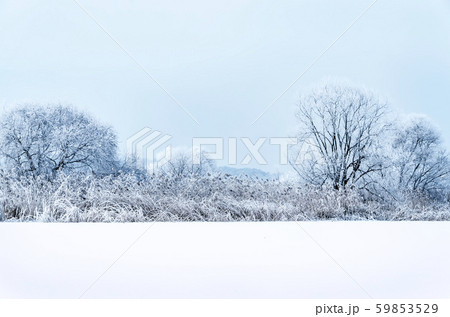 森 薮 ら 59853529