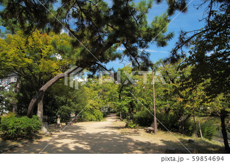 夙川公園 59854694