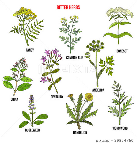 Bitter herbs collection Bitter herbs collection 59854760