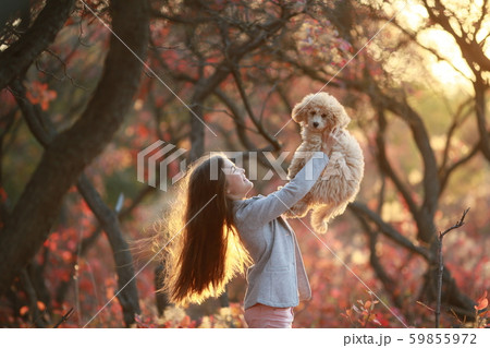 Girl in the autumn forest holding a dog breed dwarf poodle 59855972