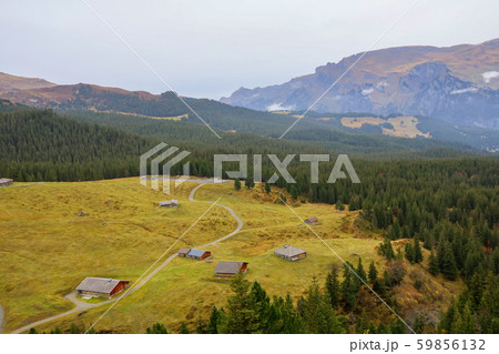 View of country village in nature and environment View of country village in nature and environment 59856132