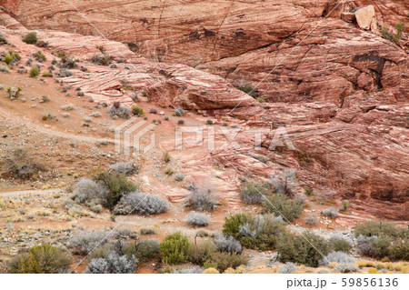 View of red rock canyon national park in Foggy day View of red rock canyon national park in Foggy day 59856136