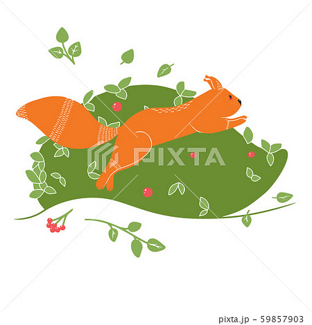 Cute Squirrel on the background of a tree, plant 59857903