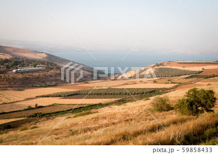 Agriculture valley on the shore of the Sea of 59858433