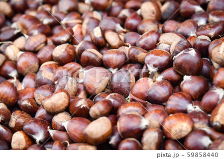 Closeup of a group of chestnuts . Closeup of a group of chestnuts . 59858440