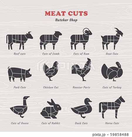 Diagram Guide for Cutting Meat in Vintage Style. Vintage restaurant meat menu template. 59858488