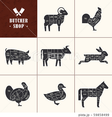 Set a schematic view of animals for the butcher shop 59858499