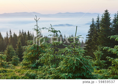 Travel, trekking. Summer landscape - mountains, green grass, trees and blue sky Travel, trekking. Summer landscape - mountains, green grass, trees and blue sky 59859537