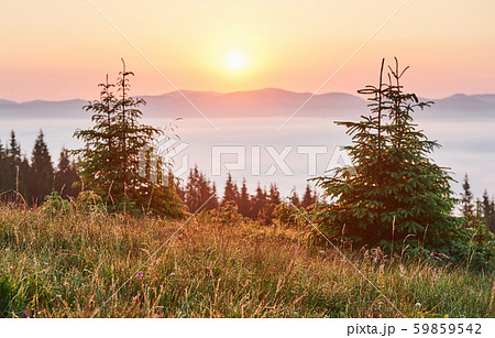 Sunset in the mountains landscape. Dramatic sky. Carpathian of Ukraine Europe Sunset in the mountains landscape. Dramatic sky. Carpathian of Ukraine Europe 59859542