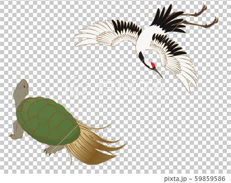 鶴と亀 鶴と亀 59859586