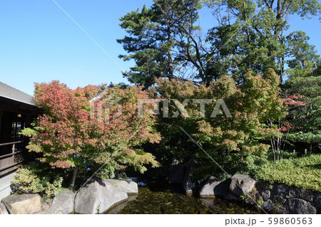 徳川園点景 徳川園点景 59860563